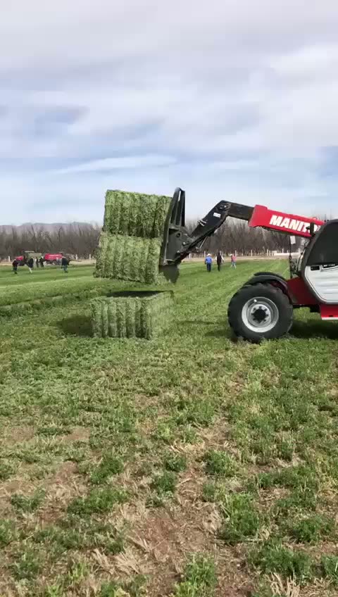 Manitou MLT-X 732 apilando pacas en campo