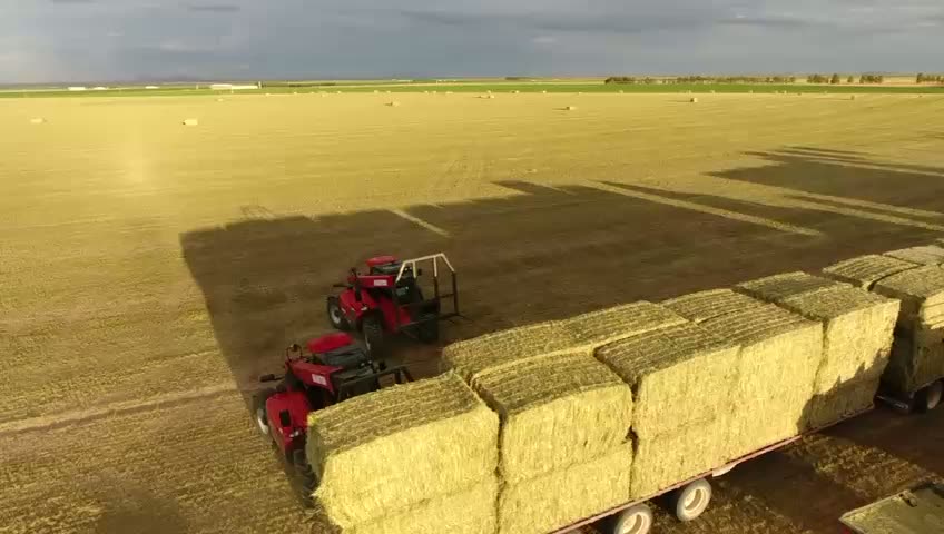 Vista aérea de carga de pacas en campo agrícola con telehandler Manitou