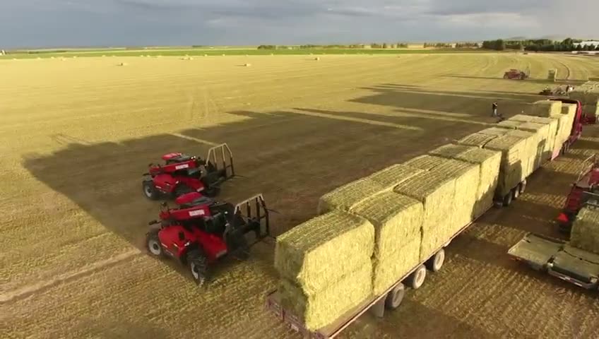 Vista aérea de dos Manitou MLT-X 732 trabajando junto a una pila de pacas
